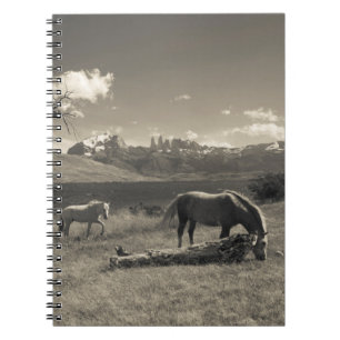 Carnet Paysage avec chevaux
