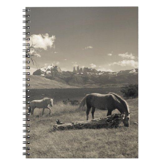 Carnet Paysage avec chevaux (Devant)