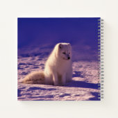 Carnet Paysage de neige de l'hiver de Fox Arctique (Dos)