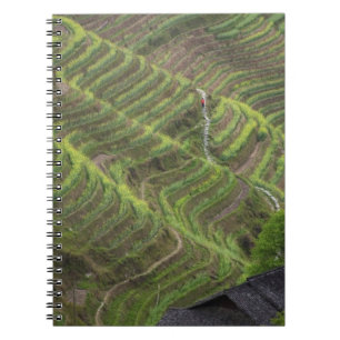 Carnet Paysage de rizières en terrasses dans la montagne,