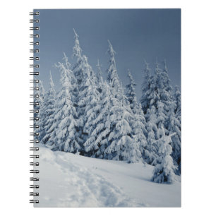 Carnet Paysage d'hiver