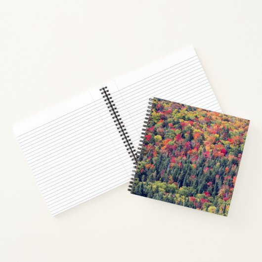Carnet Paysage forestier d'automne (Intérieur)