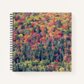 Carnet Paysage forestier d'automne (Devant)