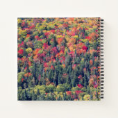 Carnet Paysage forestier d'automne (Dos)