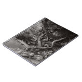 Carnet Paysage - La Forêt Interdite (Côté gauche)
