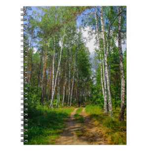 Carnet Paysage naturel Paysage Forêt Birch Tree Biéloruss