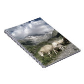 Carnet paysage pyrénéen (Côté Droit)