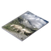 Carnet paysage pyrénéen (Côté gauche)