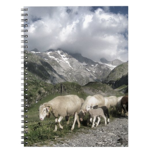 Carnet paysage pyrénéen (Devant)