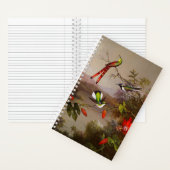 Carnet Paysage tropical avec dix colibris (À l'intérieur)