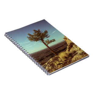 Carnet Paysage USA Vintage