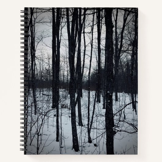 Carnet paysager noir et blanc spectaculaire (Devant)