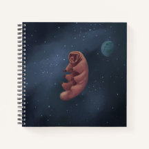 PC portable Space Tardigrade