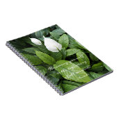 Carnet Peace Lily Aristote Philosophie Sagesse Quotee (Côté Droit)