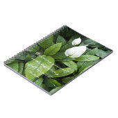 Carnet Peace Lily Aristote Philosophie Sagesse Quotee (Côté gauche)