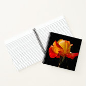 Carnet Peachy Orange Rose (Intérieur)