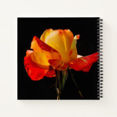 Carnet Peachy Orange Rose (Dos)