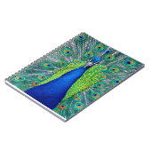 Carnet Peacock#1 (Côté gauche)