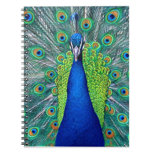 Carnet Peacock#1 (Devant)