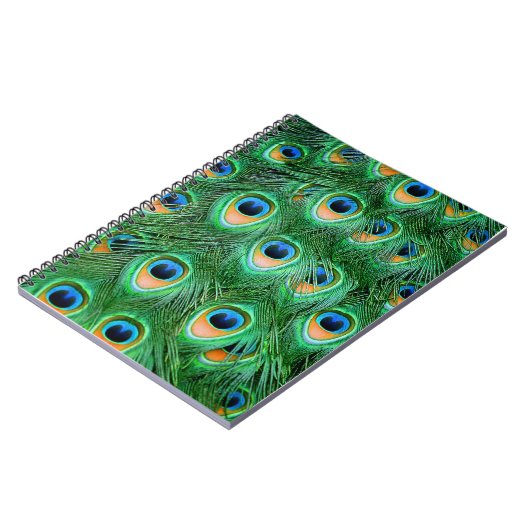 Carnet Peacock#2-Notebook (Côté gauche)