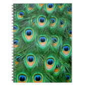 Carnet Peacock#2-Notebook (Devant)