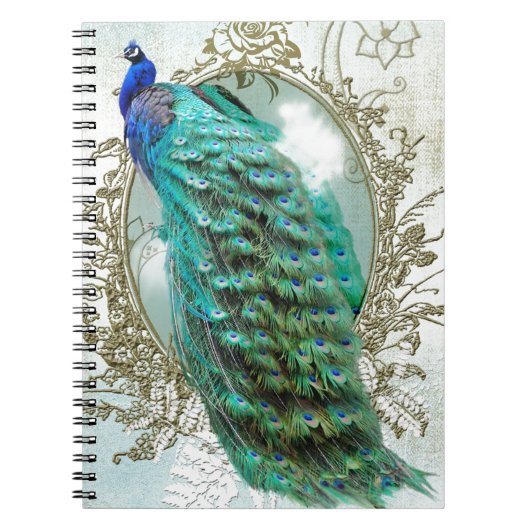 Carnet peacock beautiful turquoise vintage shabby bird (Devant)