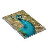 Carnet Peacock Belle photographie nature (Côté Droit)