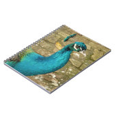 Carnet Peacock Belle photographie nature (Côté gauche)