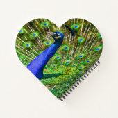 Carnet Peacock Bleu brillant (Dos)