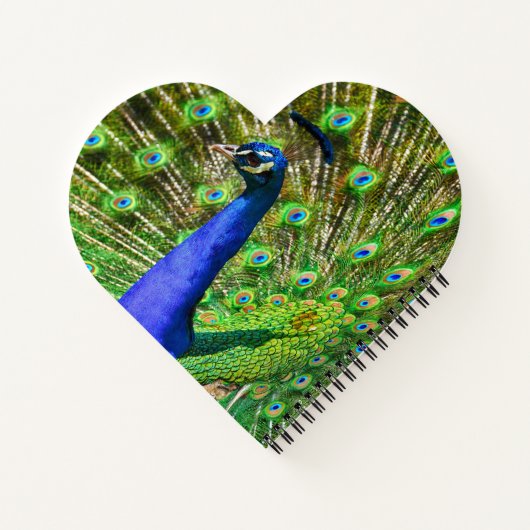 Carnet Peacock Bleu brillant (Dos)