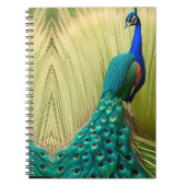 Carnet Peacock bleu dans l'herbe (Devant)