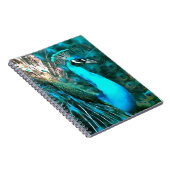 Carnet Peacock Bleu Vibrant Avec Queue Fissée (Côté Droit)