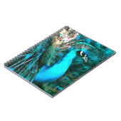 Carnet Peacock Bleu Vibrant Avec Queue Fissée (Côté gauche)