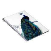 Carnet Peacock couleur bleu vintage (Côté Droit)