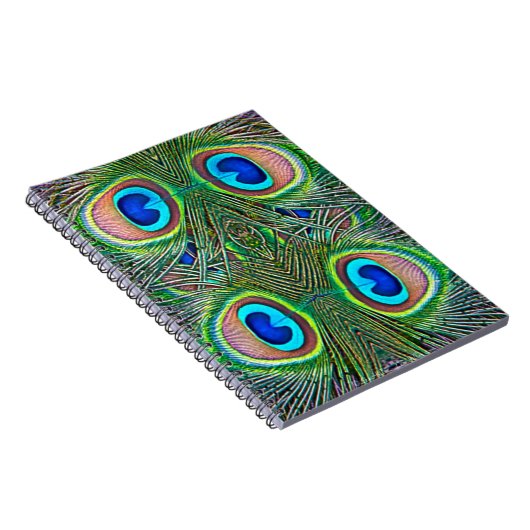 Carnet Peacock Feathers (Côté Droit)