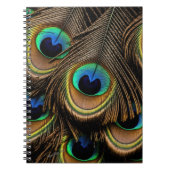 Carnet Peacock Love (Devant)