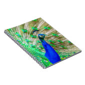 Carnet Peacock Plumage (Côté Droit)