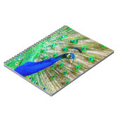 Carnet Peacock Plumage (Côté gauche)