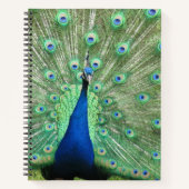 Carnet - Peacock Portrait (Devant)
