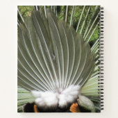 Carnet - Peacock Portrait (Dos)