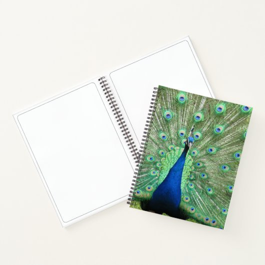 Carnet - Peacock Portrait (Intérieur)