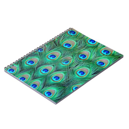 Carnet Peacock Splendor (Côté gauche)