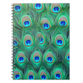 Carnet Peacock Splendor (Devant)