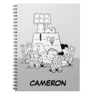 Carnet Peanuts Gang Lecture Comics