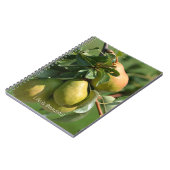Carnet Pears Fruit (my photography) (Côté gauche)