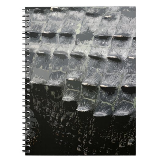 CARNET PEAU DE CROCODILE (Devant)