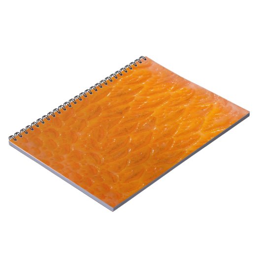 Carnet Peau de sébaste (Côté gauche)