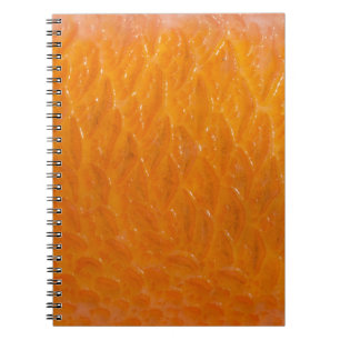 Carnet Peau de sébaste