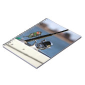 Carnet Pêche à la mouche (Côté gauche)