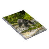 Carnet Pêche à l'ours noir | Qua Creek Colombie-Britanniq (Côté Droit)